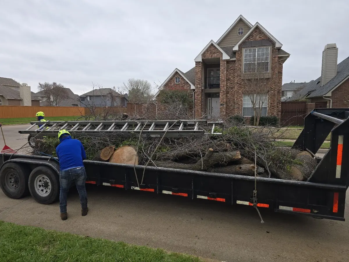 Expert Tree Fertilization with proper safety equipment in Boswell
